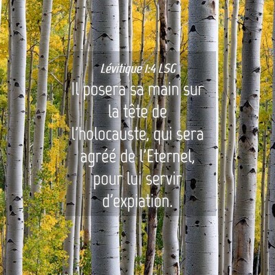 Picture 04 - Lévitique 1:4 LSG - Il posera sa main sur la tête de l'holocauste, - Bible Verse Picture