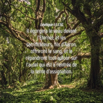 Picture 04 - Lévitique 1:5 LSG - Il égorgera le veau devant l'Eternel; et les - Bible Verse Picture