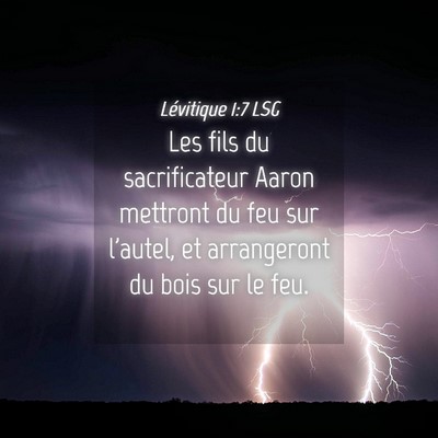 Picture 04 - Lévitique 1:7 LSG - Les fils du sacrificateur Aaron mettront du feu - Bible Verse Picture