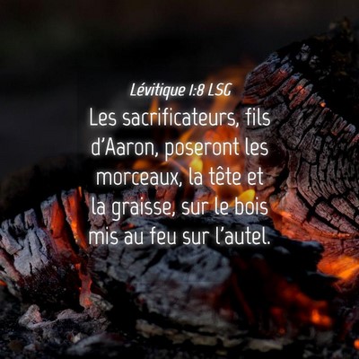 Picture 04 - Lévitique 1:8 LSG - Les sacrificateurs, fils d'Aaron, poseront les - Bible Verse Picture