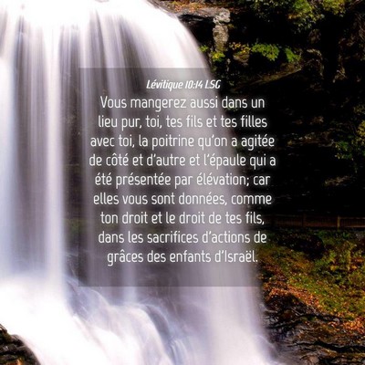 Picture 04 - Lévitique 10:14 LSG - Vous mangerez aussi dans un lieu pur, toi, tes - Bible Verse Picture
