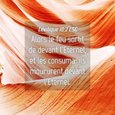 Picture 04 - Lévitique 10:2 LSG - Alors le feu sortit de devant l'Eternel, et les - Bible Verse Picture