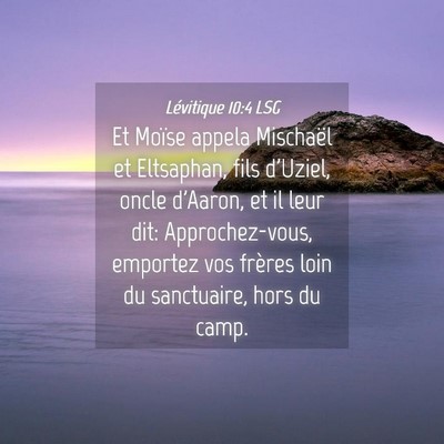 Picture 04 - Lévitique 10:4 LSG - Et Moïse appela Mischaël et Eltsaphan, fils - Bible Verse Picture