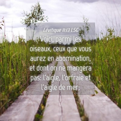 Picture 04 - Lévitique 11:13 LSG - Voici, parmi les oiseaux, ceux que vous aurez en - Bible Verse Picture