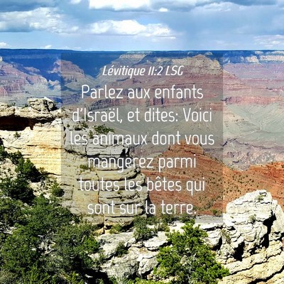 Picture 04 - Lévitique 11:2 LSG - Parlez aux enfants d'Israël, et dites: Voici les - Bible Verse Picture