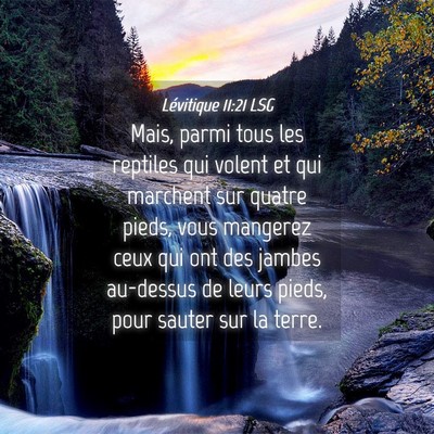 Picture 04 - Lévitique 11:21 LSG - Mais, parmi tous les reptiles qui volent et qui - Bible Verse Picture