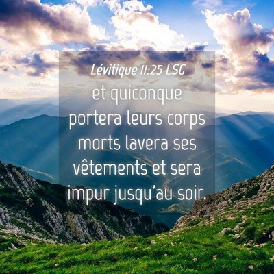 Picture 04 - Lévitique 11:25 LSG - et quiconque portera leurs corps morts lavera ses - Bible Verse Picture