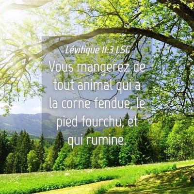 Picture 04 - Lévitique 11:3 LSG - Vous mangerez de tout animal qui a la corne - Bible Verse Picture