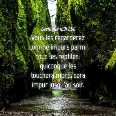 Picture 04 - Lévitique 11:31 LSG - Vous les regarderez comme impurs parmi tous les - Bible Verse Picture