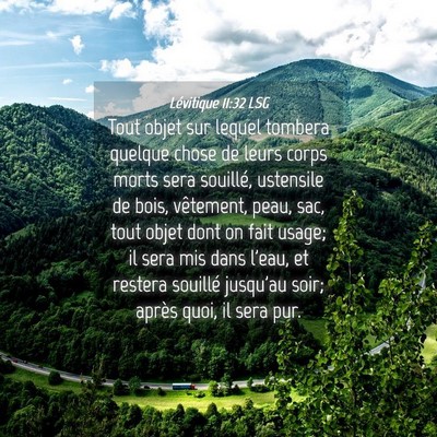 Picture 04 - Lévitique 11:32 LSG - Tout objet sur lequel tombera quelque chose de - Bible Verse Picture