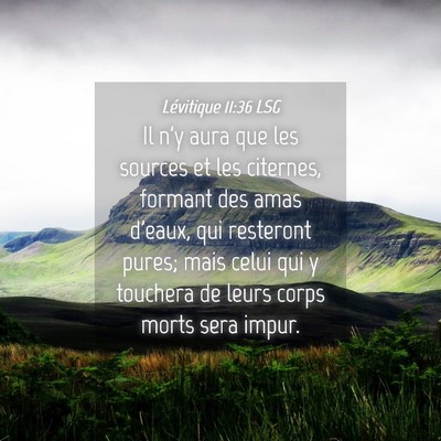 Picture 04 - Lévitique 11:36 LSG - Il n'y aura que les sources et les citernes, - Bible Verse Picture