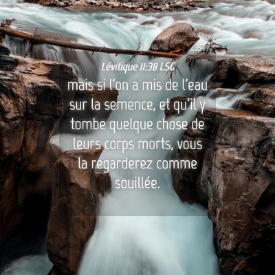 Picture 04 - Lévitique 11:38 LSG - mais si l'on a mis de l'eau sur la semence, et - Bible Verse Picture