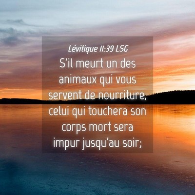 Picture 04 - Lévitique 11:39 LSG - S'il meurt un des animaux qui vous servent de - Bible Verse Picture