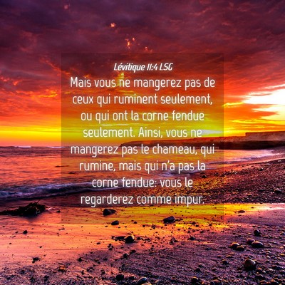 Picture 04 - Lévitique 11:4 LSG - Mais vous ne mangerez pas de ceux qui ruminent - Bible Verse Picture
