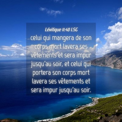 Picture 04 - Lévitique 11:40 LSG - celui qui mangera de son corps mort lavera ses - Bible Verse Picture