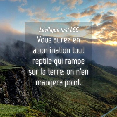 Picture 04 - Lévitique 11:41 LSG - Vous aurez en abomination tout reptile qui rampe - Bible Verse Picture
