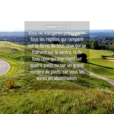 Picture 04 - Lévitique 11:42 LSG - Vous ne mangerez point, parmi tous les reptiles - Bible Verse Picture