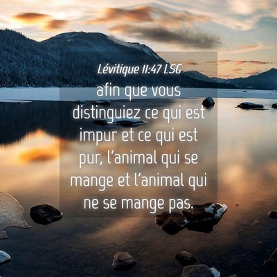 Picture 04 - Lévitique 11:47 LSG - afin que vous distinguiez ce qui est impur et ce - Bible Verse Picture