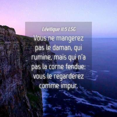 Picture 04 - Lévitique 11:5 LSG - Vous ne mangerez pas le daman, qui rumine, mais - Bible Verse Picture