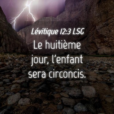 Picture 04 - Lévitique 12:3 LSG - Le huitième jour, l'enfant sera - Bible Verse Picture