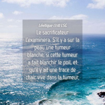 Picture 04 - Lévitique 13:10 LSG - Le sacrificateur l'examinera. S'il y a sur la - Bible Verse Picture