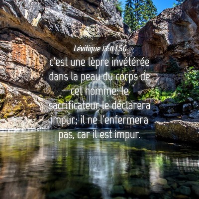Picture 04 - Lévitique 13:11 LSG - c'est une lèpre invétérée dans la peau du - Bible Verse Picture