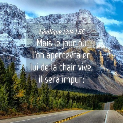 Picture 04 - Lévitique 13:14 LSG - Mais le jour où l'on apercevra en lui de la - Bible Verse Picture