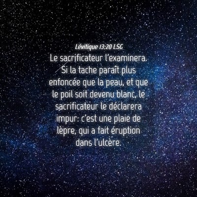 Picture 04 - Lévitique 13:20 LSG - Le sacrificateur l'examinera. Si la tache paraît - Bible Verse Picture