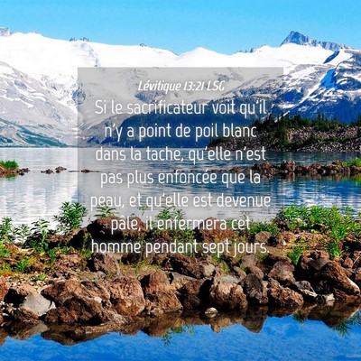 Picture 04 - Lévitique 13:21 LSG - Si le sacrificateur voit qu'il n'y a point de - Bible Verse Picture