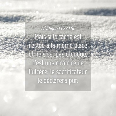 Picture 04 - Lévitique 13:23 LSG - Mais si la tache est restée à la même place et - Bible Verse Picture