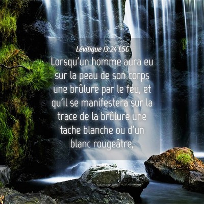 Picture 04 - Lévitique 13:24 LSG - Lorsqu'un homme aura eu sur la peau de son corps - Bible Verse Picture