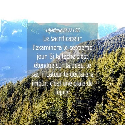 Picture 04 - Lévitique 13:27 LSG - Le sacrificateur l'examinera le septième jour. - Bible Verse Picture