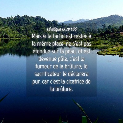 Picture 04 - Lévitique 13:28 LSG - Mais si la tache est restée à la même place, - Bible Verse Picture