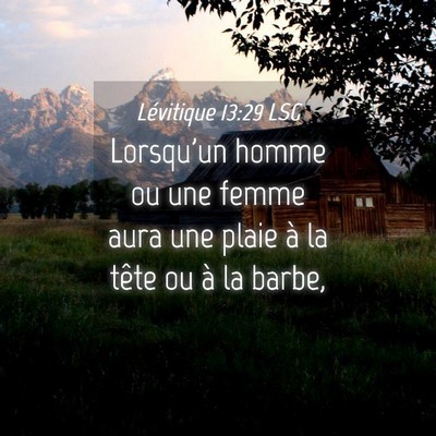 Picture 04 - Lévitique 13:29 LSG - Lorsqu'un homme ou une femme aura une plaie à la - Bible Verse Picture