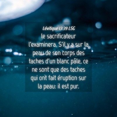 Picture 04 - Lévitique 13:39 LSG - le sacrificateur l'examinera. S'il y a sur la - Bible Verse Picture