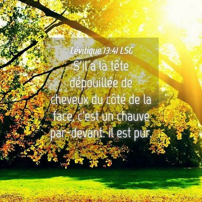 Picture 04 - Lévitique 13:41 LSG - S'il a la tête dépouillée de cheveux du côté - Bible Verse Picture