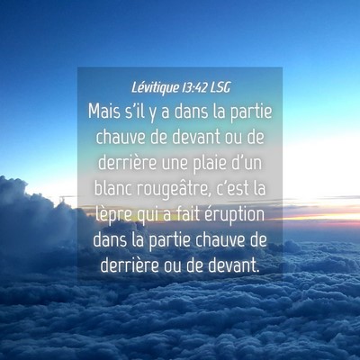 Picture 04 - Lévitique 13:42 LSG - Mais s'il y a dans la partie chauve de devant ou - Bible Verse Picture