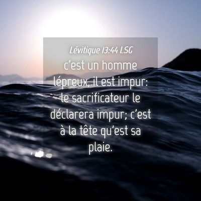 Picture 04 - Lévitique 13:44 LSG - c'est un homme lépreux, il est impur: le - Bible Verse Picture