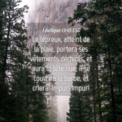 Picture 04 - Lévitique 13:45 LSG - Le lépreux, atteint de la plaie, portera ses - Bible Verse Picture
