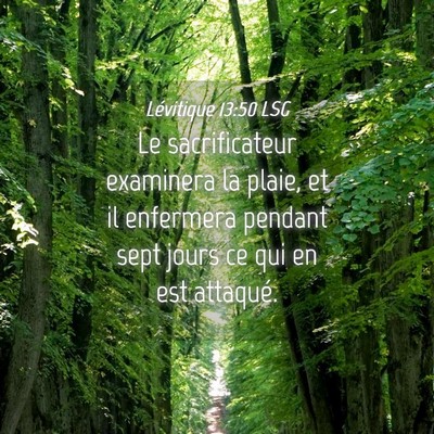 Picture 04 - Lévitique 13:50 LSG - Le sacrificateur examinera la plaie, et il - Bible Verse Picture