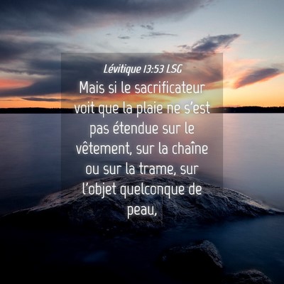 Picture 04 - Lévitique 13:53 LSG - Mais si le sacrificateur voit que la plaie ne - Bible Verse Picture