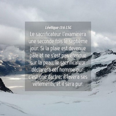 Picture 04 - Lévitique 13:6 LSG - Le sacrificateur l'examinera une seconde fois le - Bible Verse Picture