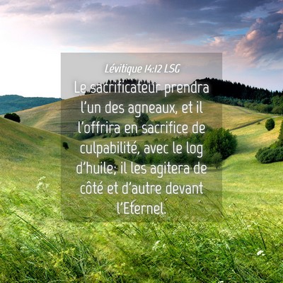 Picture 04 - Lévitique 14:12 LSG - Le sacrificateur prendra l'un des agneaux, et il - Bible Verse Picture