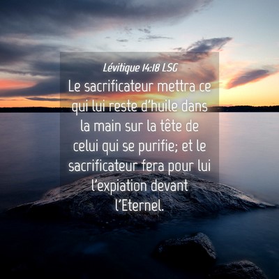 Picture 04 - Lévitique 14:18 LSG - Le sacrificateur mettra ce qui lui reste d'huile - Bible Verse Picture