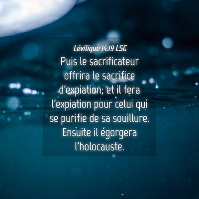 Picture 04 - Lévitique 14:19 LSG - Puis le sacrificateur offrira le sacrifice - Bible Verse Picture