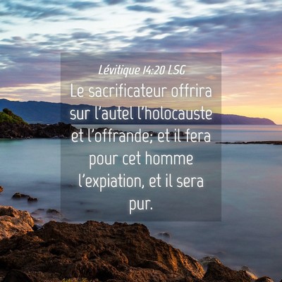 Picture 04 - Lévitique 14:20 LSG - Le sacrificateur offrira sur l'autel l'holocauste - Bible Verse Picture