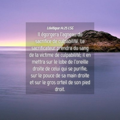 Picture 04 - Lévitique 14:25 LSG - Il égorgera l'agneau du sacrifice de - Bible Verse Picture