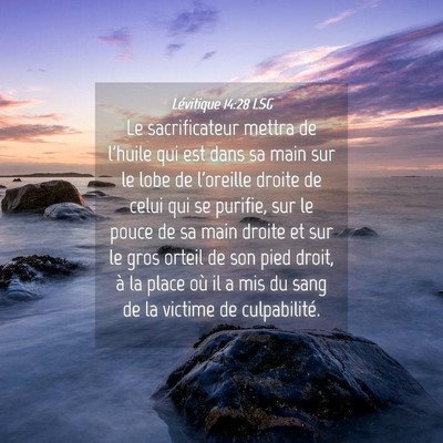 Picture 04 - Lévitique 14:28 LSG - Le sacrificateur mettra de l'huile qui est dans - Bible Verse Picture