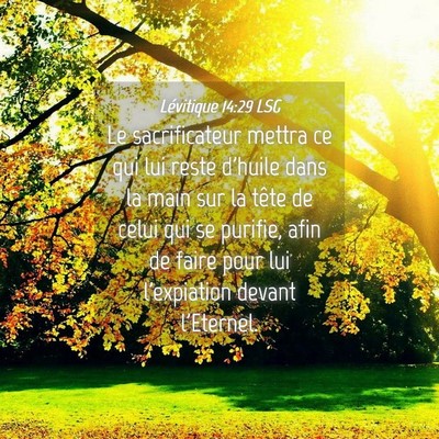 Picture 04 - Lévitique 14:29 LSG - Le sacrificateur mettra ce qui lui reste d'huile - Bible Verse Picture