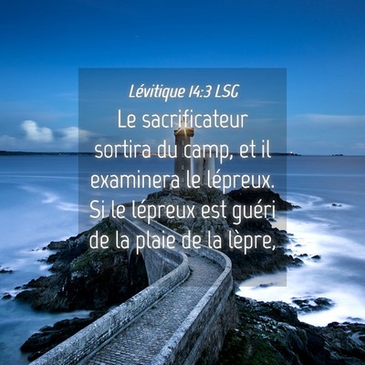 Picture 04 - Lévitique 14:3 LSG - Le sacrificateur sortira du camp, et il examinera - Bible Verse Picture